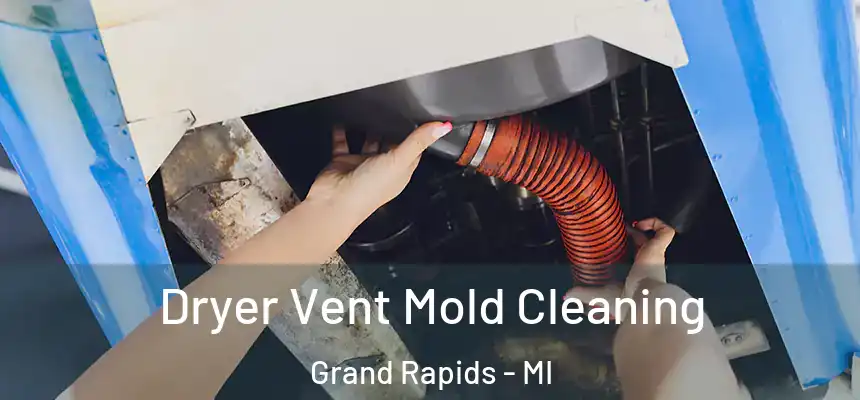 Dryer Vent Mold Cleaning Grand Rapids - MI