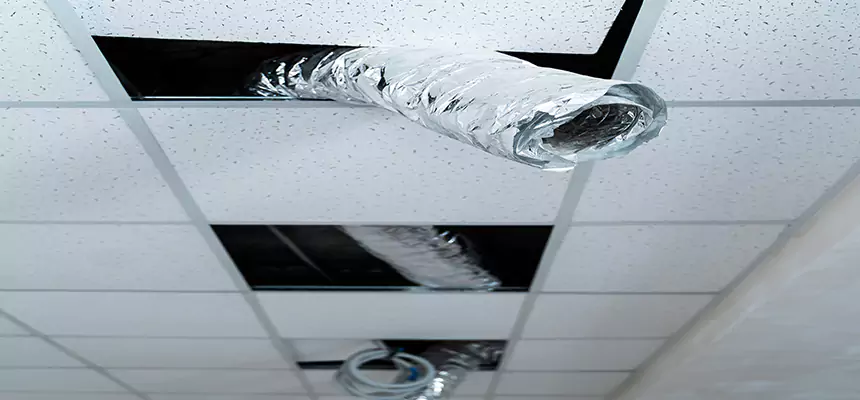 Our Air Duct Pet Hair Removal Services in Grand Rapids, MI