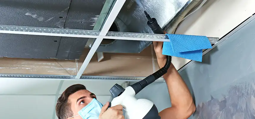 Our Air Duct Rodent Removal Services in Grand Rapids, MI