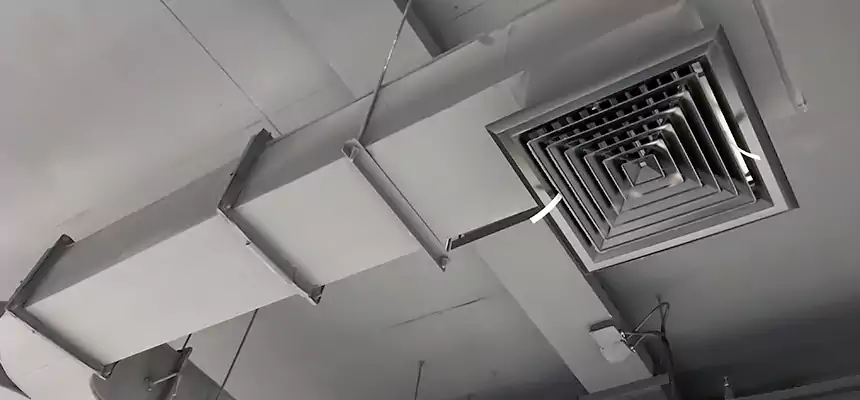 Restorative Allergy Relief Vent Cleaning – Coil, Blower & Housing Detail in Grand Rapids