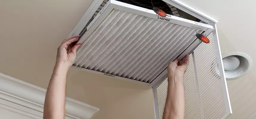Our Insect Removal from Air Ducts Services in Grand Rapids, MI