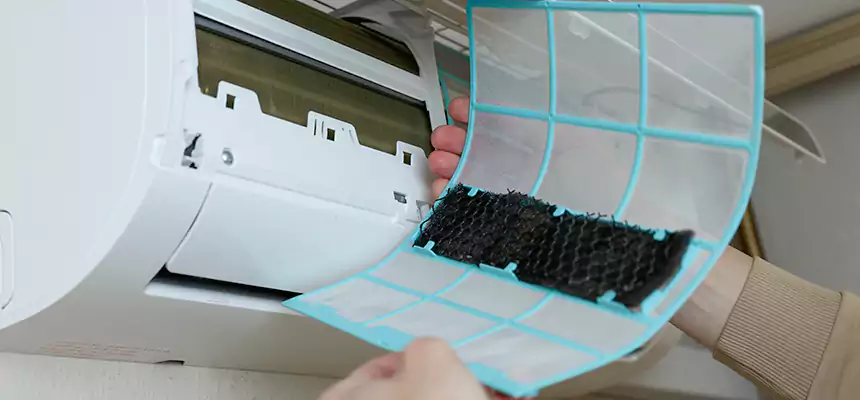 Gentle Ductwork Odor-Control Pet Dander Duct Cleaning in Grand Rapids, MI