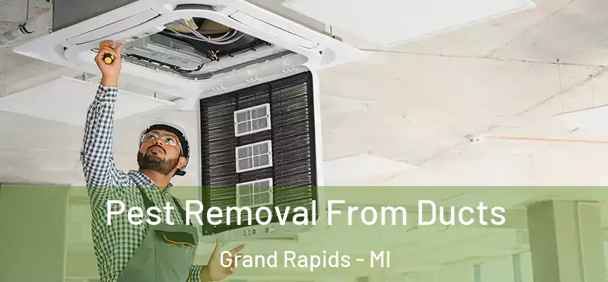 Pest Removal From Ducts Grand Rapids - MI