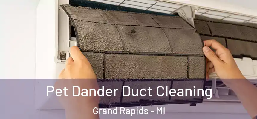 Pet Dander Duct Cleaning Grand Rapids - MI