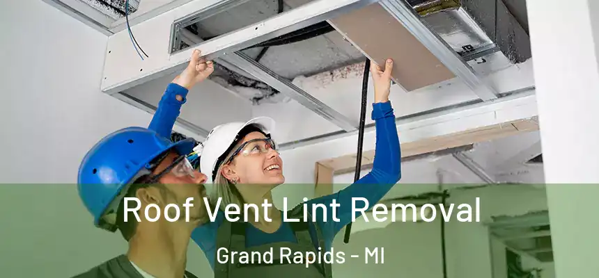 Roof Vent Lint Removal Grand Rapids - MI