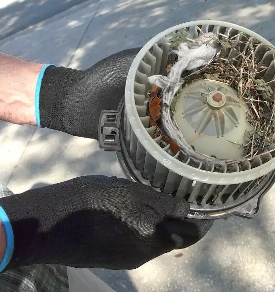 About Air Duct Mice Removal in Grand Rapids, MI