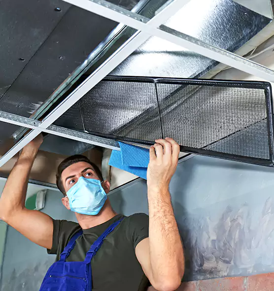 Professional Air Duct Pollen Cleaning in Grand Rapids, MI
