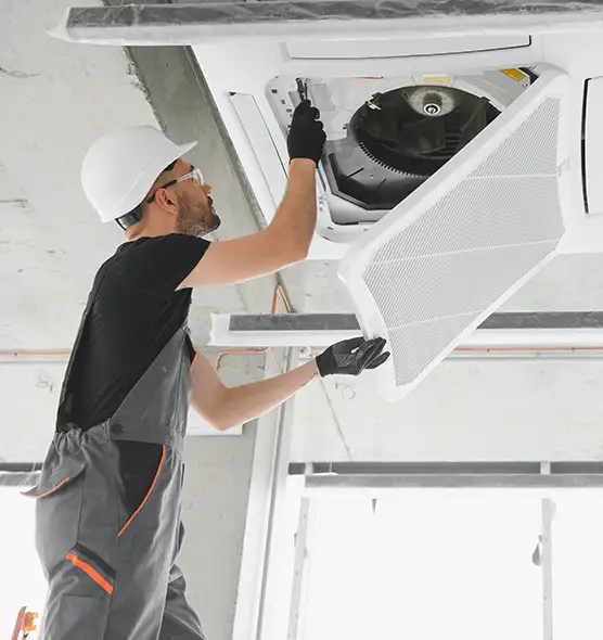 About Air Duct Rodent Removal in Grand Rapids, MI