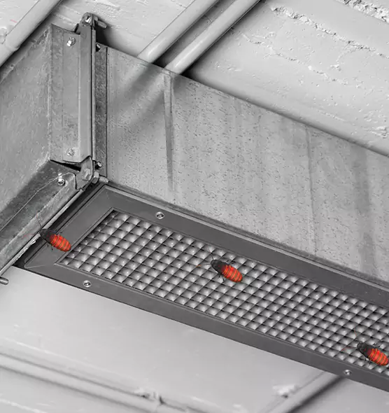 Affordable Insect Removal from Air Ducts in Grand Rapids, MI