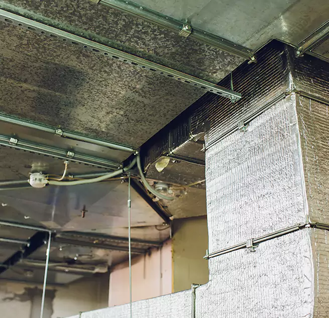 Why Homeowners & Businesses Trust Us in Grand Rapids, MI?